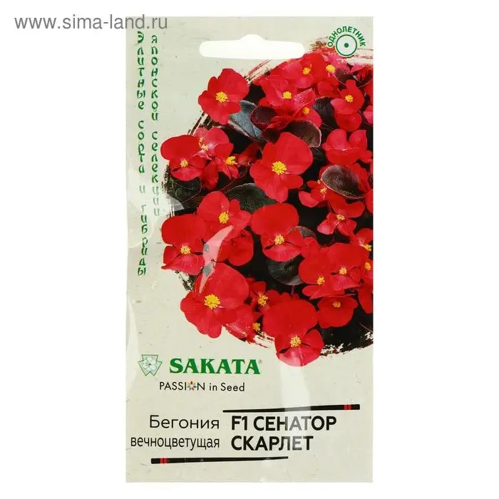 Семена цветов Бегония "Сенатор Скарлет", ц/п,  F1,  вечноцветущая, серия Элитная клумба 4 шт