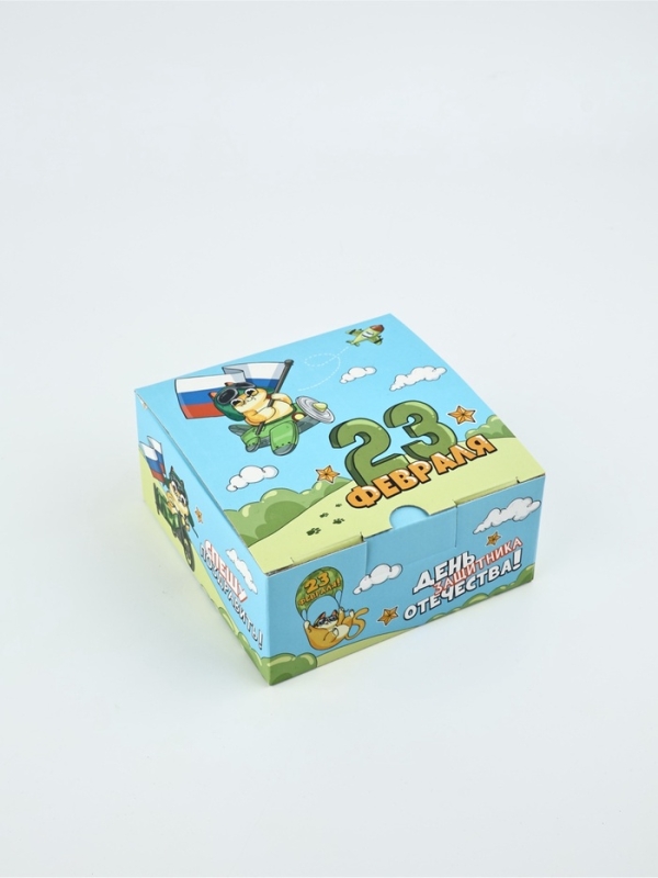 Подарочная коробка, упаковка &laquo;23 февраля, кот&raquo;, 15 х 15 х 7 см