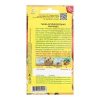 Семена Тыква крупноплодная Хоккайдо   Блюда стран мира Ц/П 1г