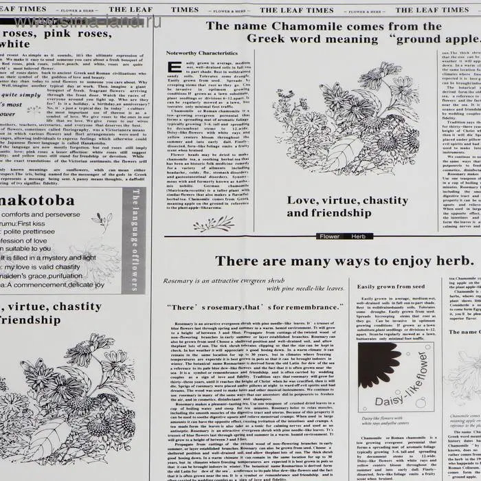 Плёнка матовая &laquo;Флористическая статья&raquo; белый, 57&times;57 см &plusmn;5% см
