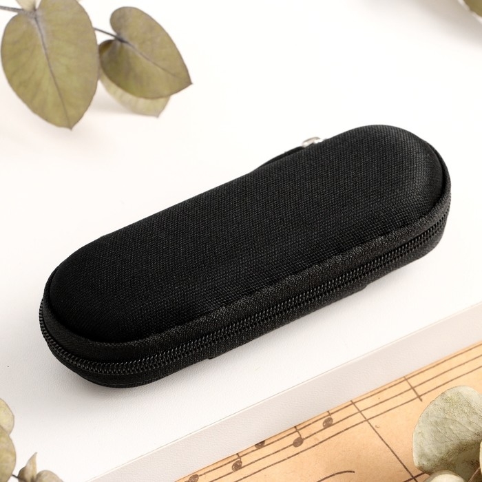 Губная гармошка Music Life T008L  C диатоническая, 10 отверстий, с футляром