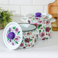 Набор кастрюль &laquo;Анютины глазки&raquo;, 2 предмета: 4 л, 5.5 л, индукция