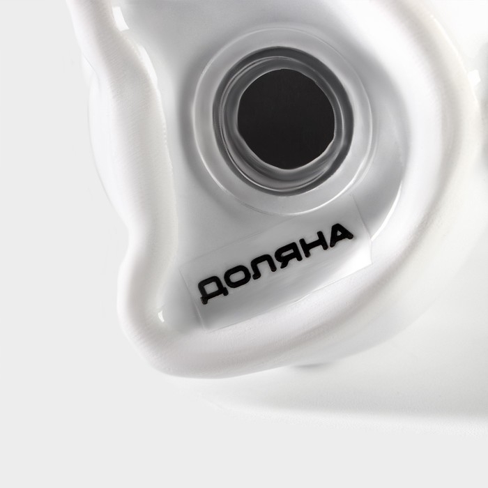 Набор для специй Доляна &laquo;Зайка&raquo;, 2 предмета: солонка 50 мл, перечница 50 мл, цвет белый