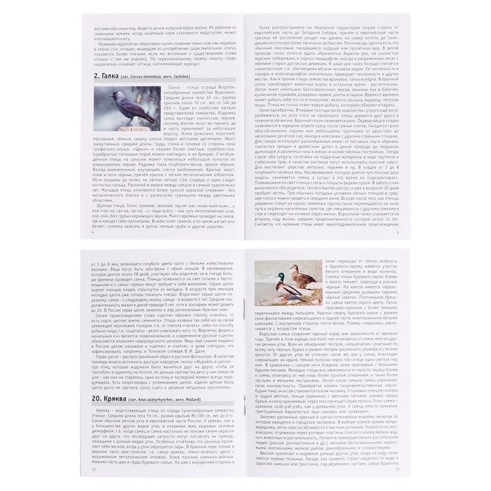 Мемо &laquo;Птицы России&raquo;