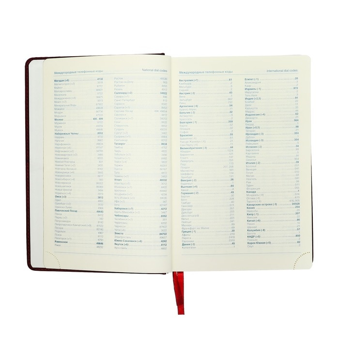 Ежедневник датированный 2025 года, A5, 168 листов в линейку, кожзам "Небраска", золотой срез, бордовый