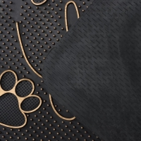 Коврик придверный Доляна &laquo;Лапка&raquo;, цвет МИКС