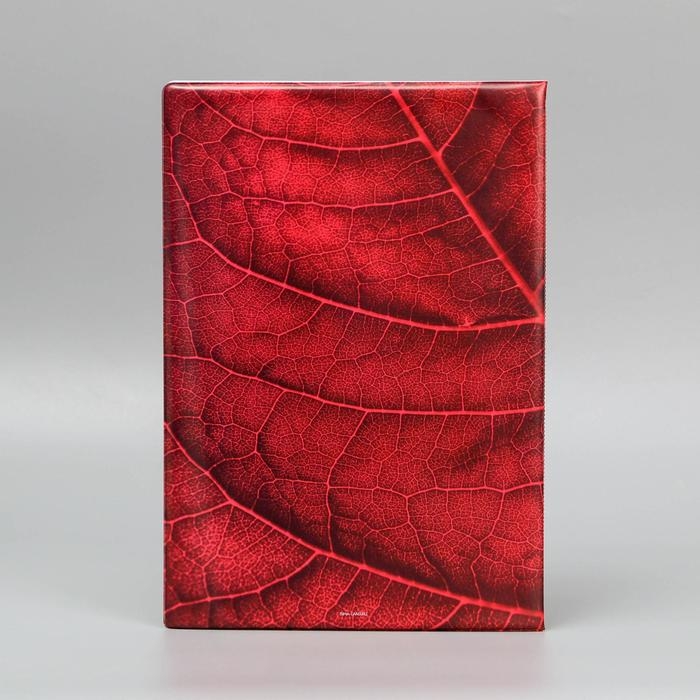 Папка для семейных документов &laquo;Docs&raquo;, 8 файлов А4