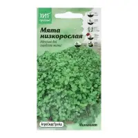 Семена Мята "для выращивания в контейнере", 3 шт