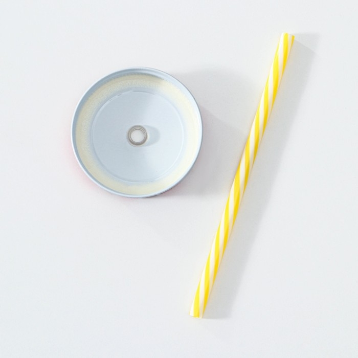 Банка стеклянная с крышкой и трубочкой Доляна &laquo;Лама&raquo;, 450 мл, 10&times;7,5&times;13 см