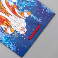 Пакет подарочный новогодний ламинированный, &laquo;Новогодний набор &raquo; , 18&times;10&times;22.3 см