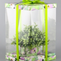 Коробка PVC, для цветов с лентой, 28 х 18 х 18 см, зеленый