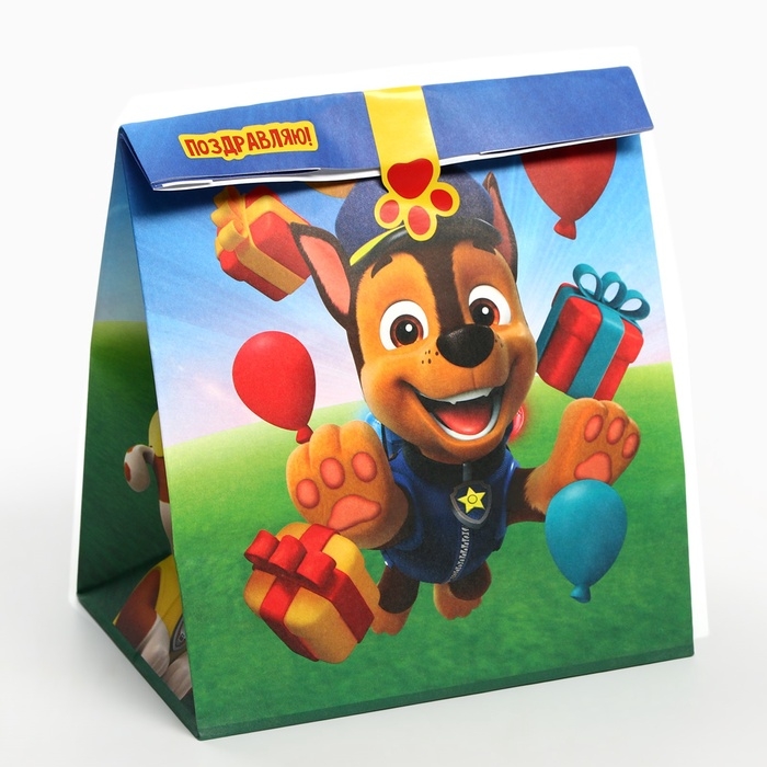 Набор крафтовых пакетов со стикерами, Щенячий патруль, 18х22х12 см