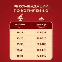 Сухой корм Purina One medium/maxi для взрослых собак, курица/рис, 10 кг