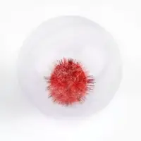 Шарик для кошек с помпошкой, 4 см, фасовка в банку по 25 шт, МИКС