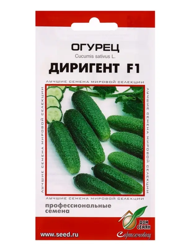 Семена Огурец Диригент F1 6 шт