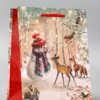 Пакет подарочный новогодний ламинированный, &laquo;Встреча друзей &raquo; , 18&times;10&times;22.3 см