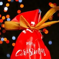 Пакет полиэтиленовый подарочный &laquo;Олень&raquo;, с завязками, 15&times;23 см