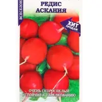 Семена Редис Аскания /Сотка/ 1 г/скорос./*800