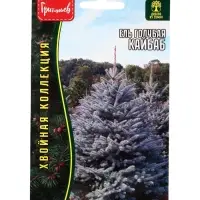 Семена цветов Ель Кайбаб голубая (Kaibab) 15 шт. / НОВИНКА  12.29 г.
