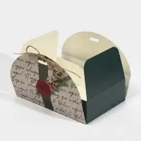 Коробка новогодняя складная &laquo;Новогодняя посылка&raquo;, 22 х 15 х 6 см, Новый год