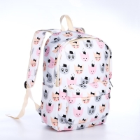 Рюкзак школьный из текстиля на молнии, 3 кармана, пенал, цвет белый/разноцветный