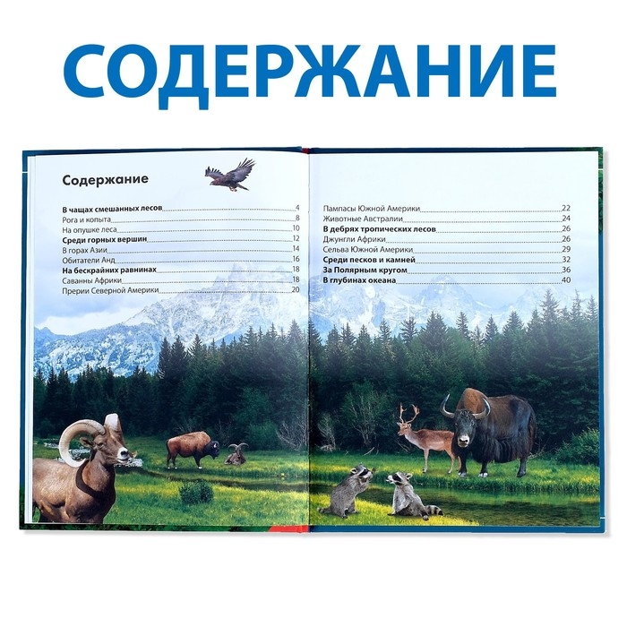 Детская энциклопедия в твёрдом переплёте &laquo;Животные&raquo;, 48 стр.