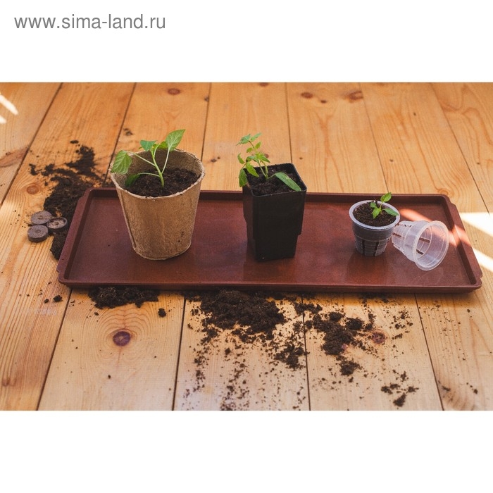 Поддон для рассады, 48 &times; 14 &times; 2 см, цвет МИКС