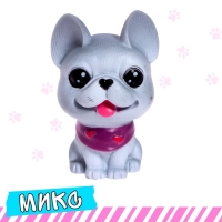 Питомец &laquo;Любимый&raquo;, МИКС