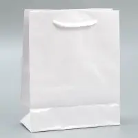 Пакет подарочный ламинированный, упаковка, &laquo;Белый&raquo;, S 12 х 15 х 5.5 см