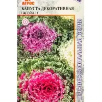 Семена Капуста декоративная "Нагойя"  F1 10 шт