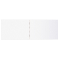 Альбом для рисования А4, 40 листов на гребне &laquo;Ван Кот&raquo;, блок офсет 100 г/м&sup2;, МИКС