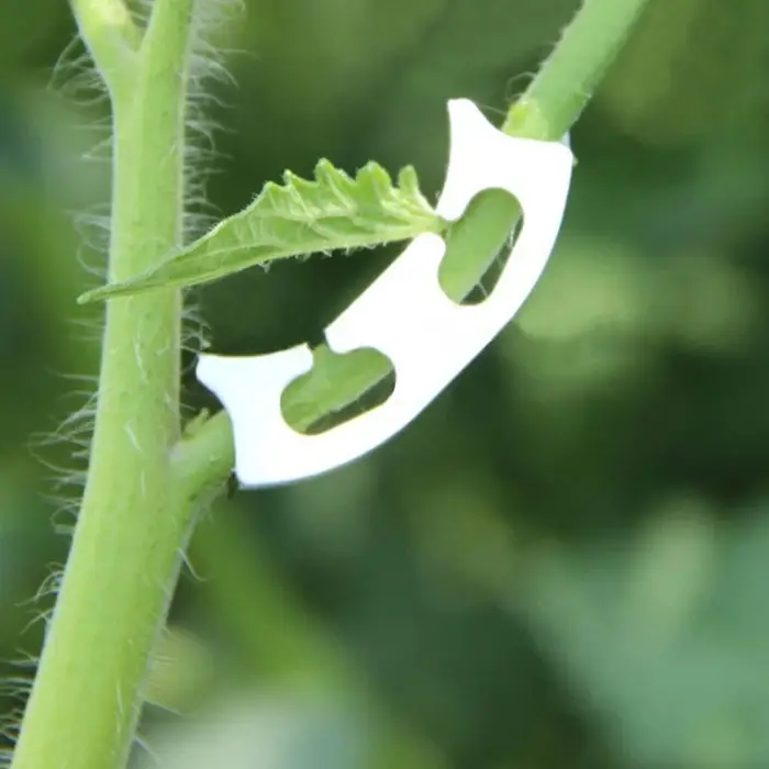 Кистедержатель &laquo;Улитка&raquo;, 3.5 см, набор 50 шт., Greengo