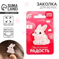 Заколка для волос детская &laquo;Маленькая радость&raquo;, 3,2 х 3,9 см