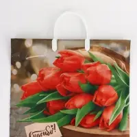 Пакет "Спасибо, полиэтиленовый, пластиковая ручка 37х35 см 90 мкм