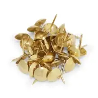 Гвозди ТУНДРА, декоративные, обивочные, 10&times;18.5 мм, золото, 100 шт.