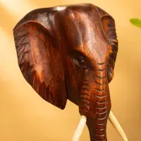 Сувенир "Голова слона" дерево Суар, 18х9х38 см, цв. тёмно-коричневый