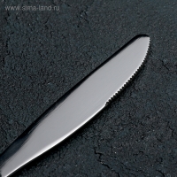 Нож столовый &laquo;Уралочка&raquo;, длина 19,5 см, толщина 2 мм, цвет серебряный