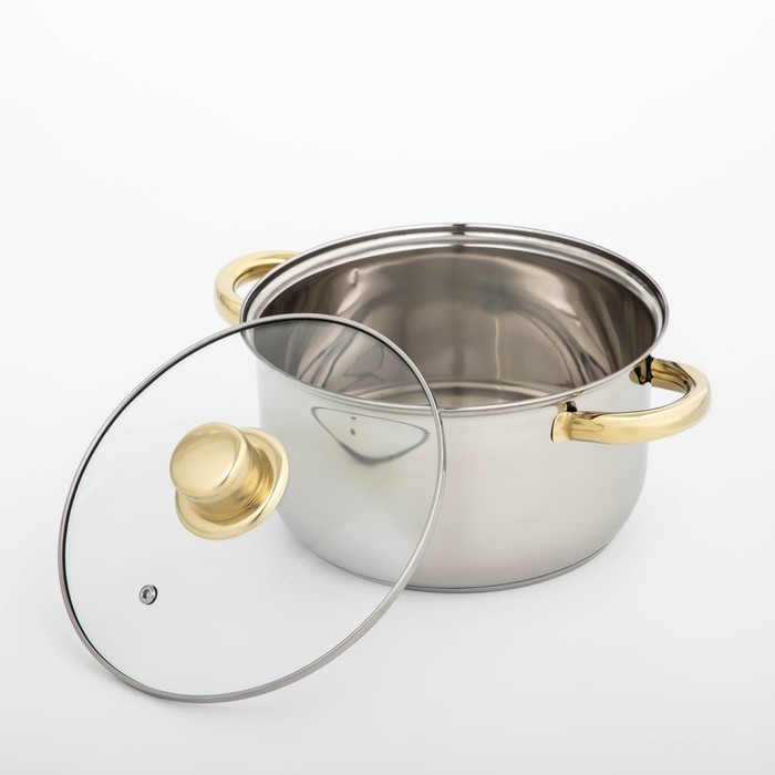 Кастрюля из нержавеющей стали с крышкой Доляна &laquo;Роскошь&raquo;, 3 л, d=20 см