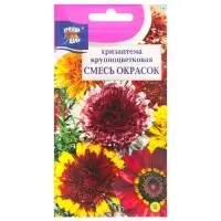 Набор семян Хризантема многолетняя "Смесь окрасок", крупноцветкова, 5 шт.