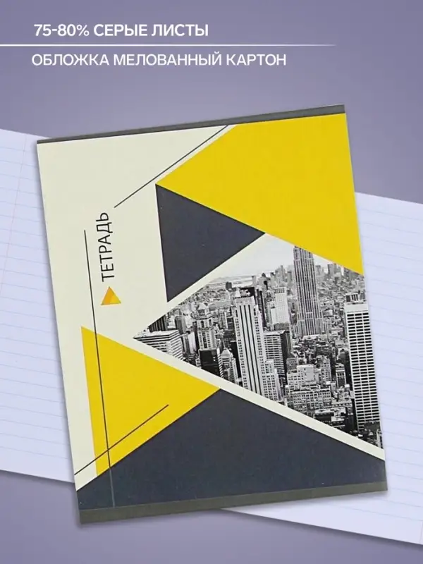 Тетрадь 48 листов в линейку Calligrata &laquo;Мегаполис&raquo;, обложка мелованная бумага, блок №2, белизна 75% (серые листы), МИКС