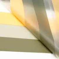 Пленка флористическая, 50 мкм, 58&times;58&plusmn;5% см