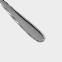 Ложки столовые из нержавеющей стали Доляна &laquo;Симпли&raquo;, длина 20,5 см, 6 шт