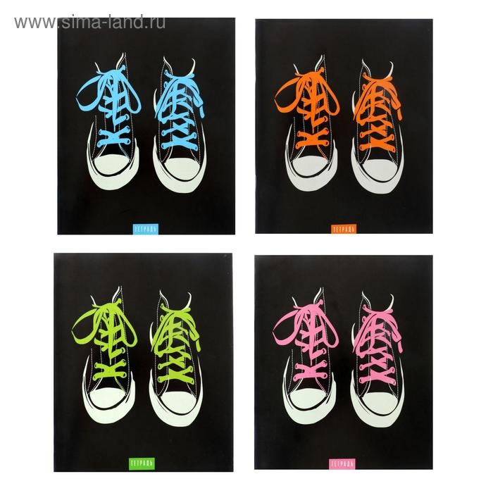 Тетрадь 96 листов в клетку Calligrata "Кеды", обложка мелованный картон, блок офсет, МИКС