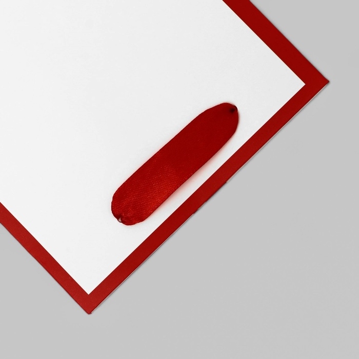 Пакет подарочный ламинированный под бутылку,13 &times; 32 &times; 11,3 см