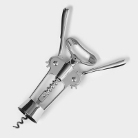 Штопор Доляна &laquo;Идея&raquo;, 18 см, цвет серебряный