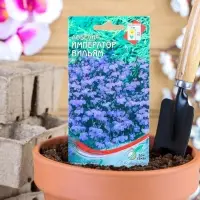 Набор семян Лобелия "Император Вильям", 5 шт.