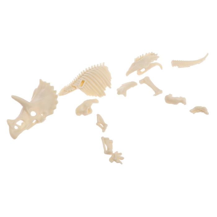 Набор для опытов &laquo;Диномир: Трицератопс&raquo;, строение тела динозавра, 33 детали