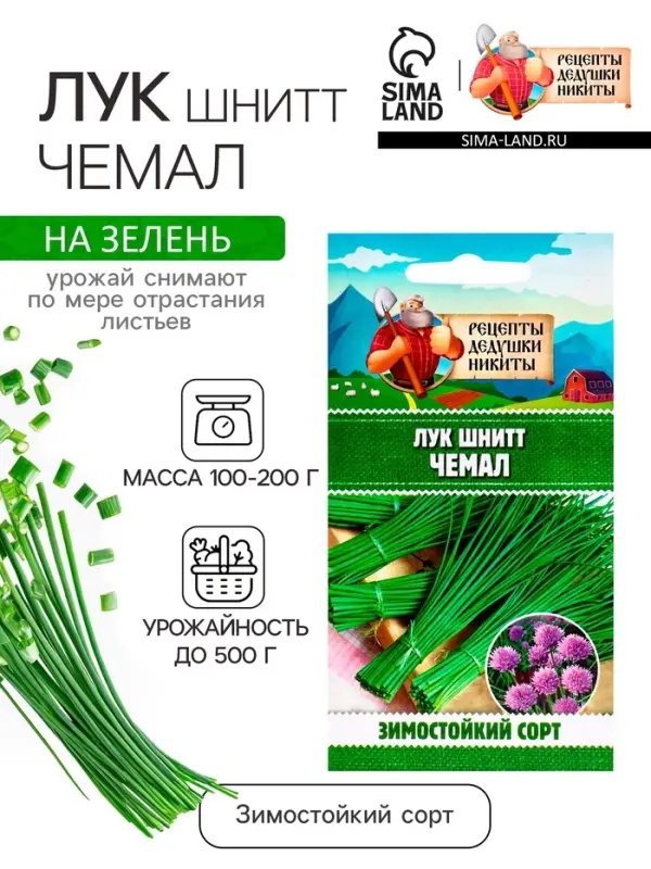 Семена Лук шнитт "Чемал", 0,2 г