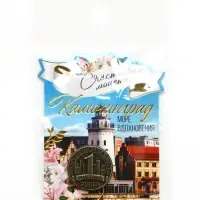 Монета сувенир &laquo;Калининград&raquo;, диам 2 см