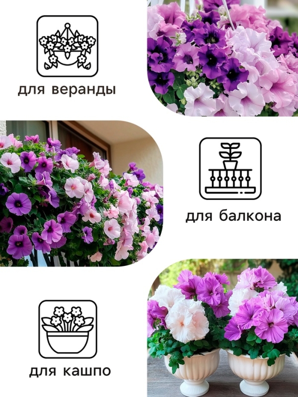 Семена цветов Петуния  Махровая Каскадная Блю&Орхид F1, смесь, О, 10шт